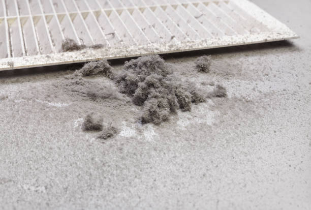 Best HVAC Duct Inspection Services  in East Dundee, IL