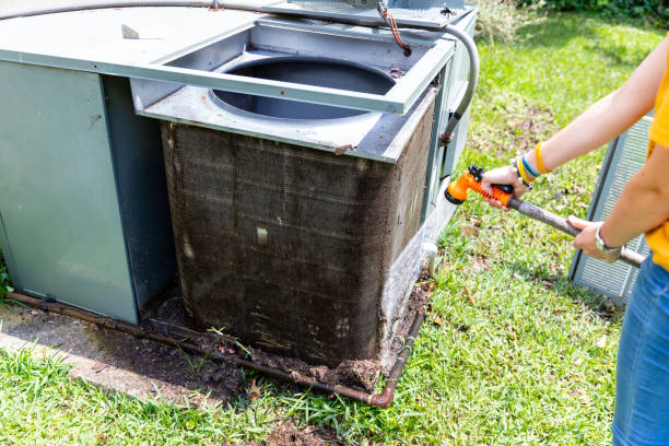 Best Professional Duct Cleaning Services  in East Dundee, IL