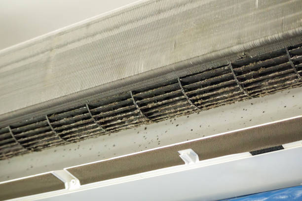 Best Local Air Duct Cleaning Services  in East Dundee, IL